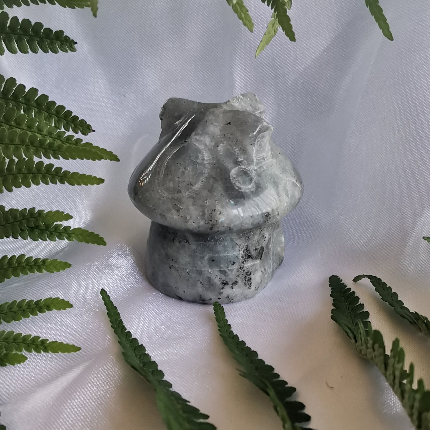 Labradorite Mushroom Home