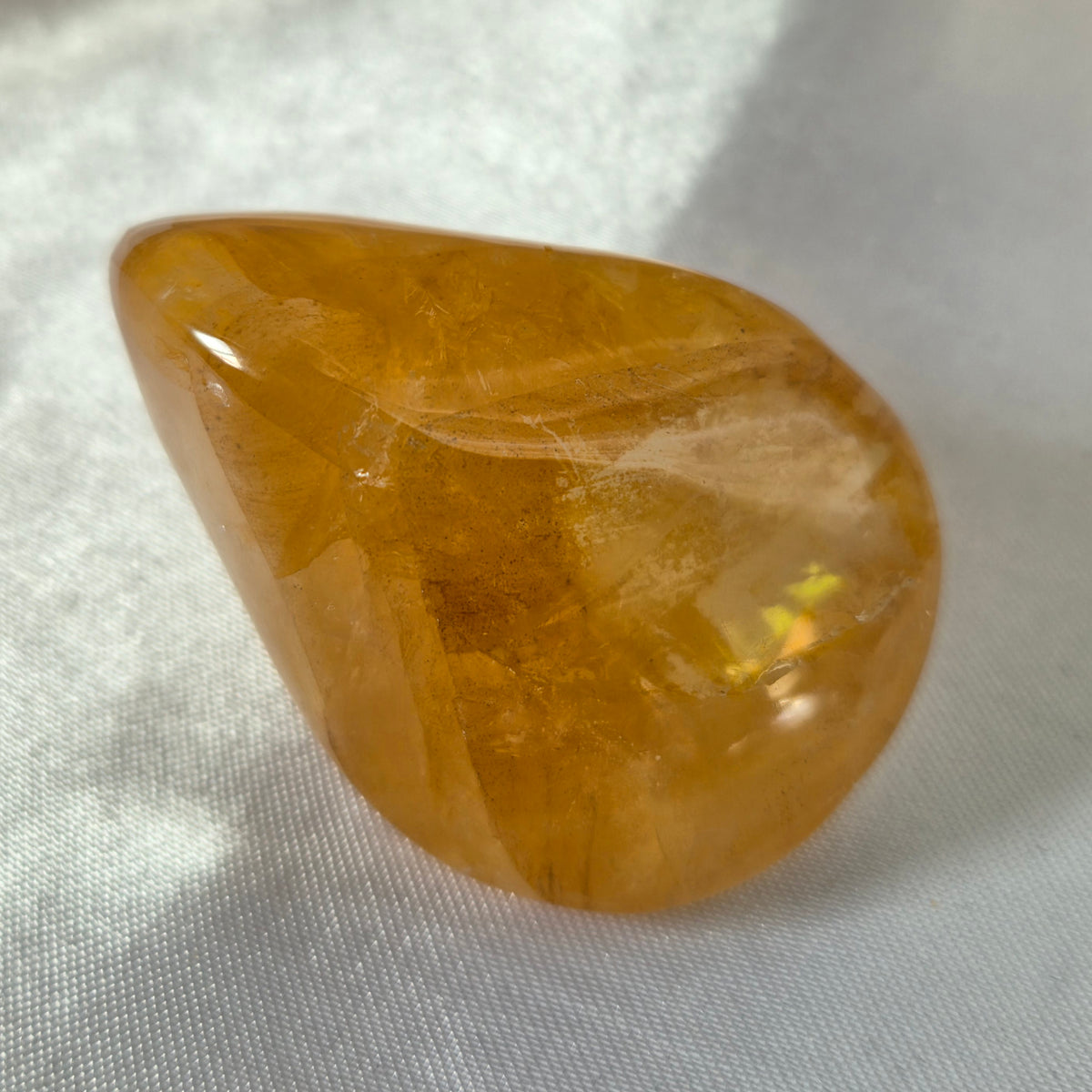 Golden Healer Freeform