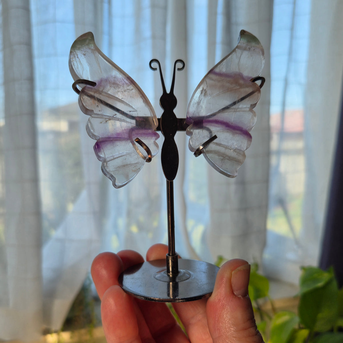 Fluorite Butterfly