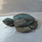 Cyan-Grey Calcite Turtle