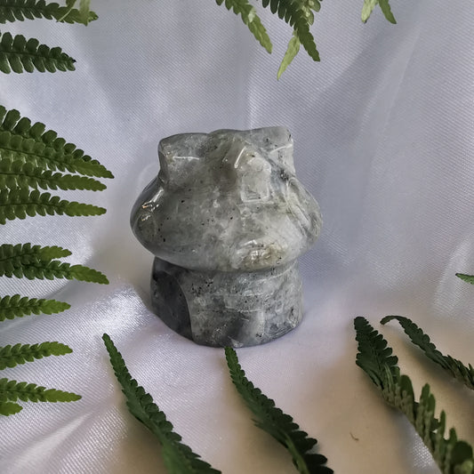Labradorite Mushroom Home